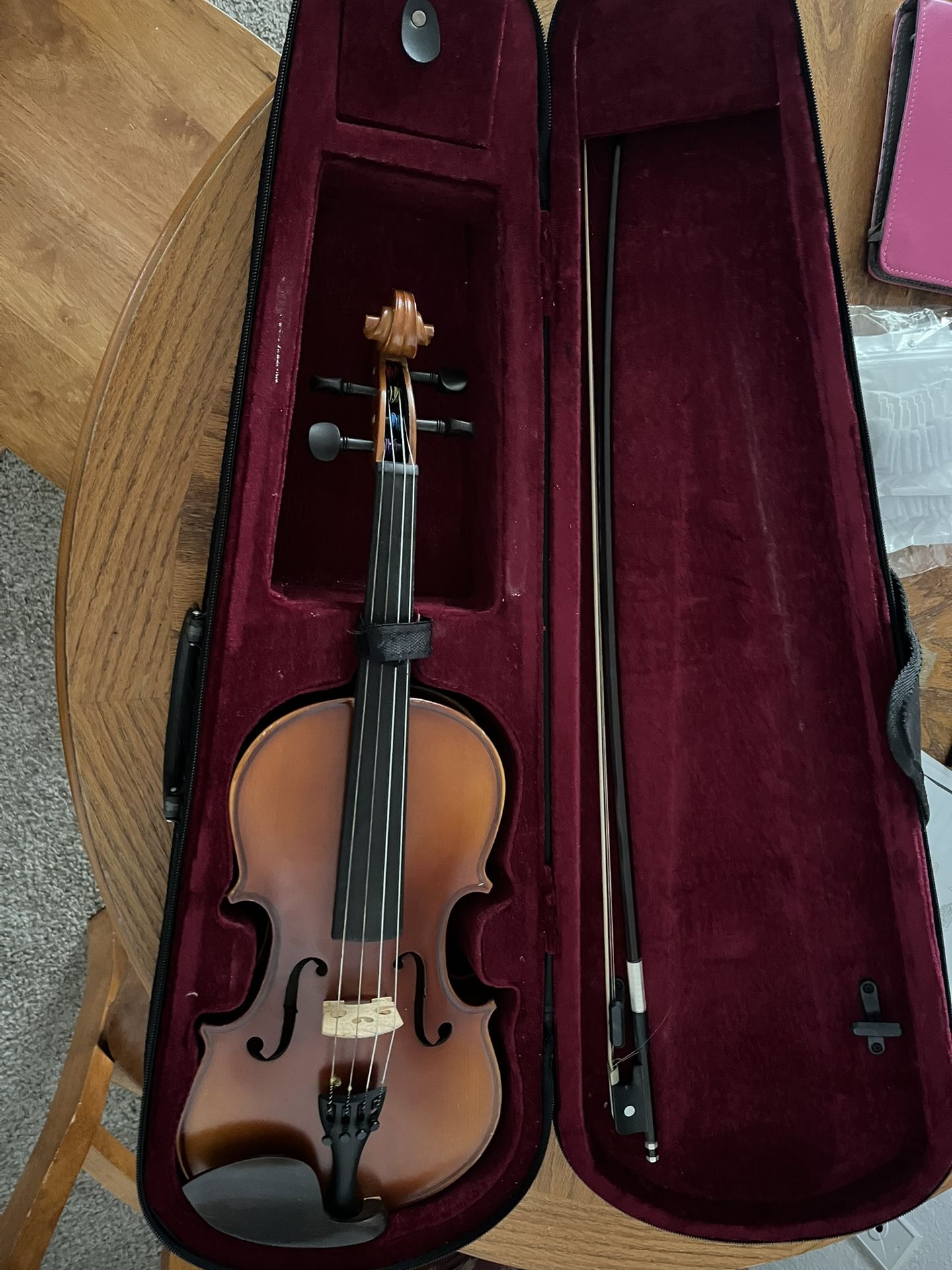Viola