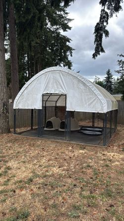 14’ x 14’ Converted Chicken Coop / Dog Kennel – Spacious Outdoor Enclosure