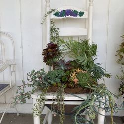 Hand Painted Chair With Succulent Plants 