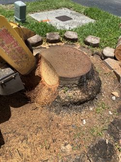 Stump Solutions 22 