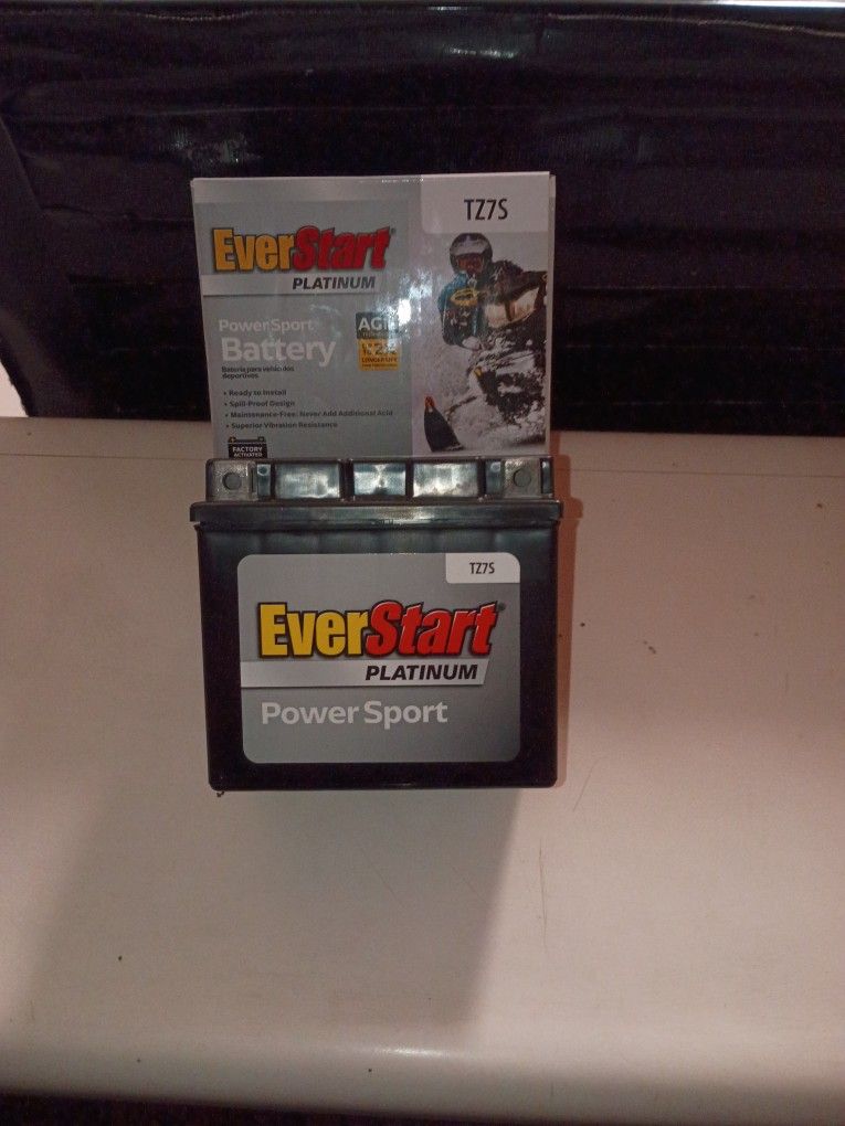 Motorcycle Battery EverStart Platinum AMG
