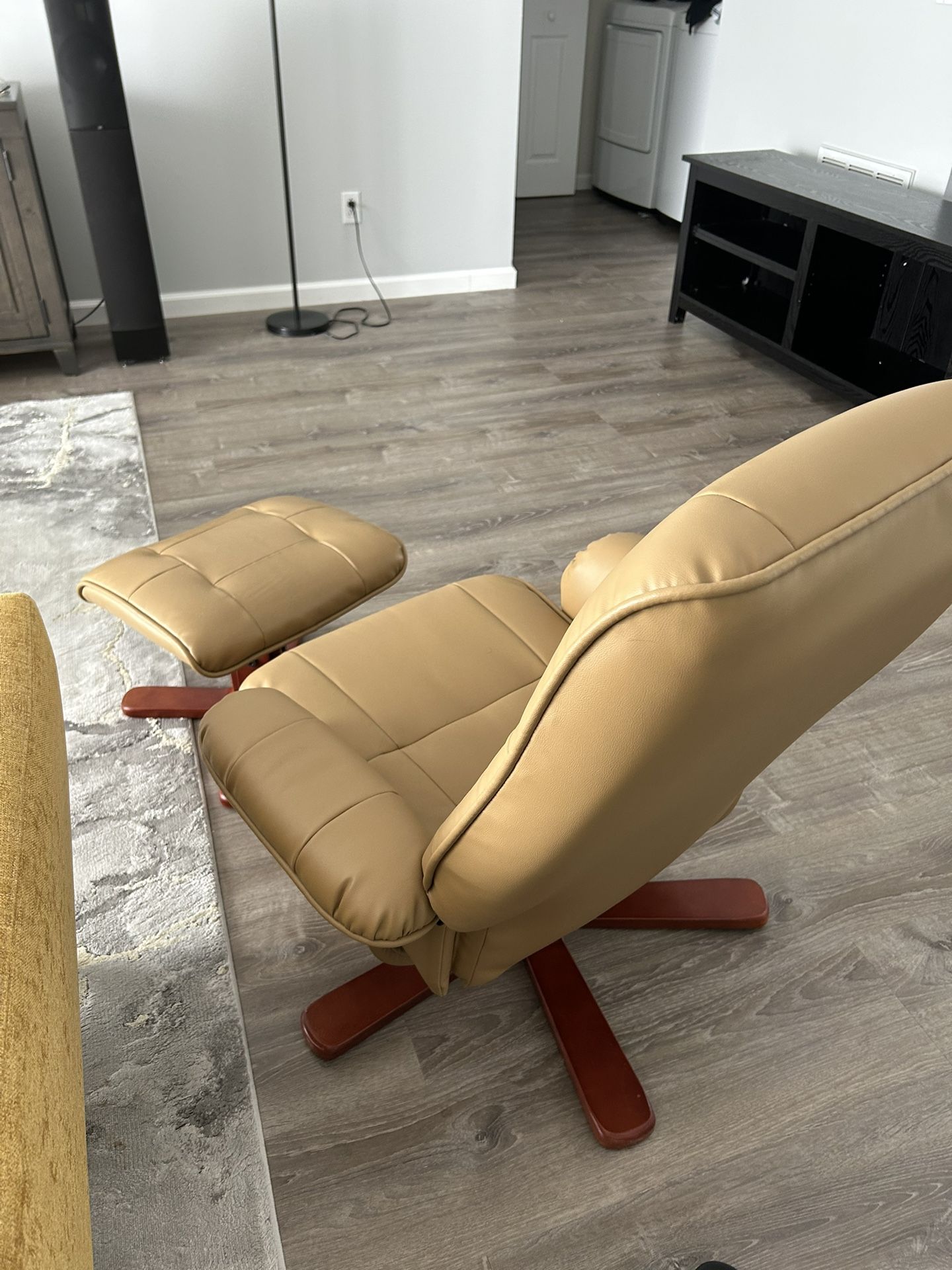 Reclining Chair