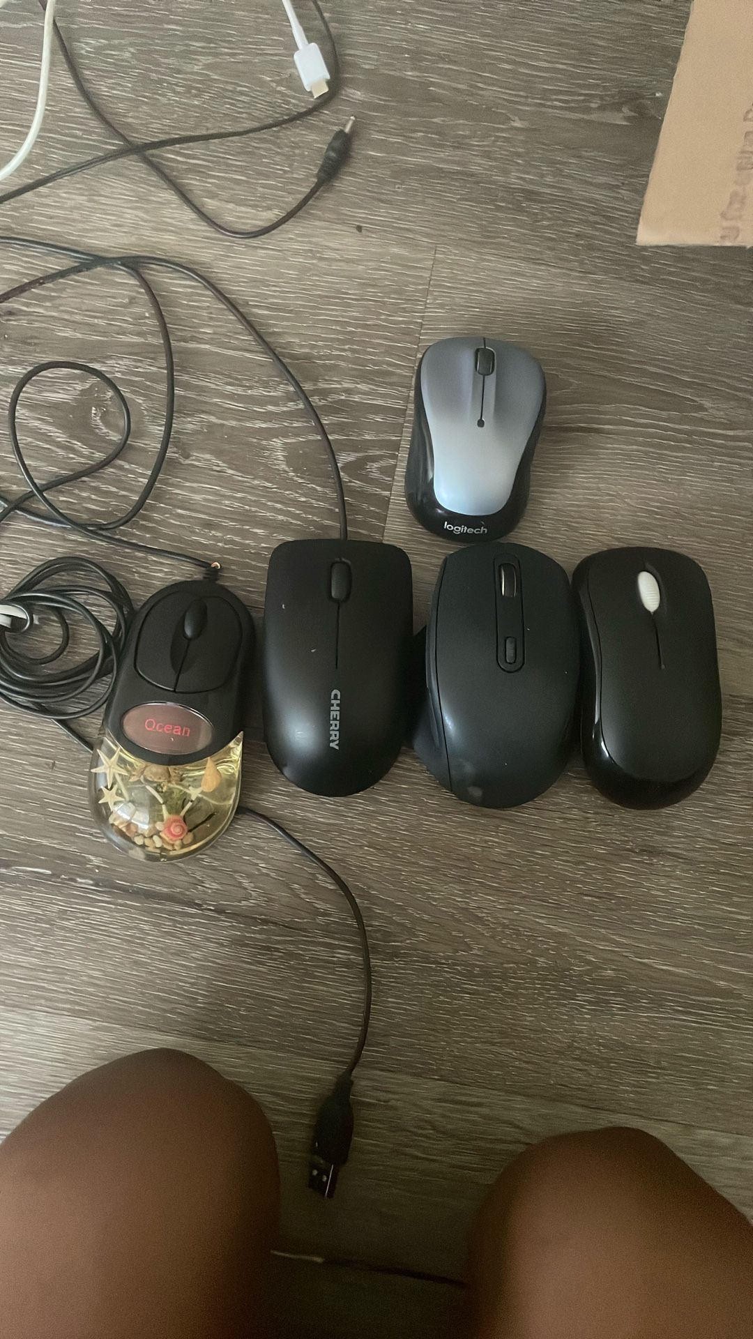 Mouse