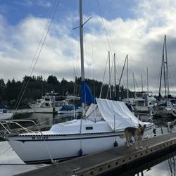 1978 Capital Yachts Neptune 24