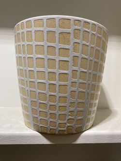 Plant Pot