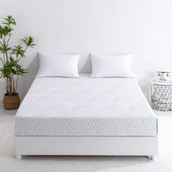 ESSENTIAL PLUS BY MLILY 8" TXL MEMORY FOAM W/ FREE SHIPPING