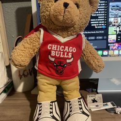 2008  Chigaco Bulls Teddy Bear