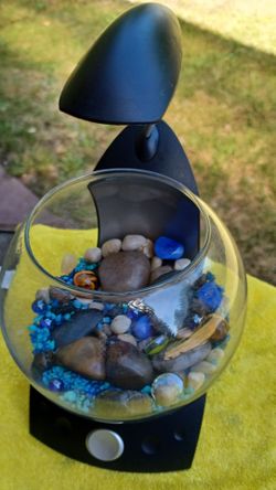 Small aquarium for beta with light and rocks