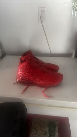 Lebron james basketball shoes
