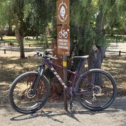 Trek Marlin 6 Gen 2 (M/L) 