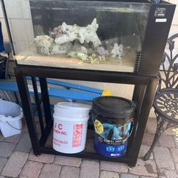 20 Gal Saltwater Aquarium 