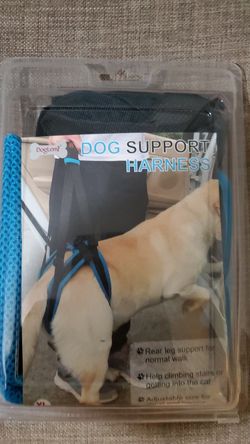 Dog support harness