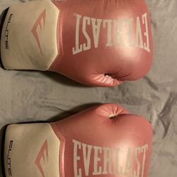Everlast Boxing Gloves