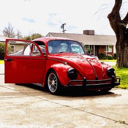 Vw Beetle
