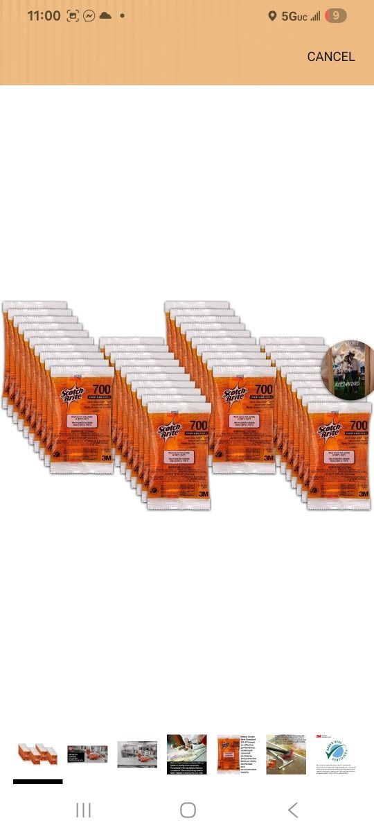 3M Scotch Brite 700 Griddle Cleaning