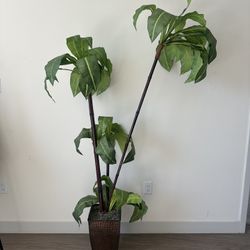 Large Bamboo Plant (Fake)
