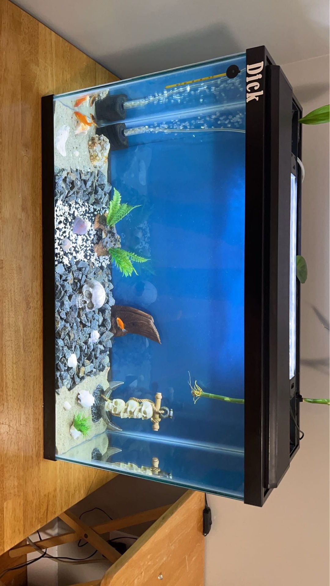 30 Gallon Fish Tank Setup With Decor, Light, And Bubbler