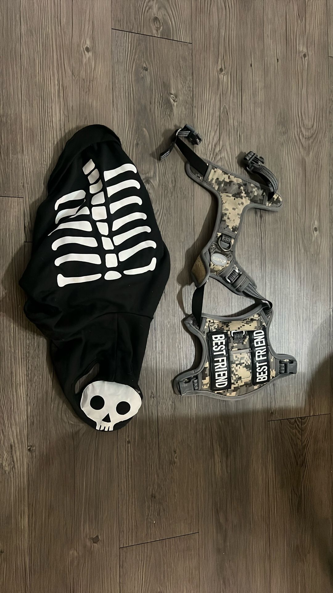 Harness And Skeleton Costume For Puppies