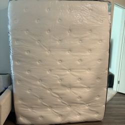 Queen Mattress