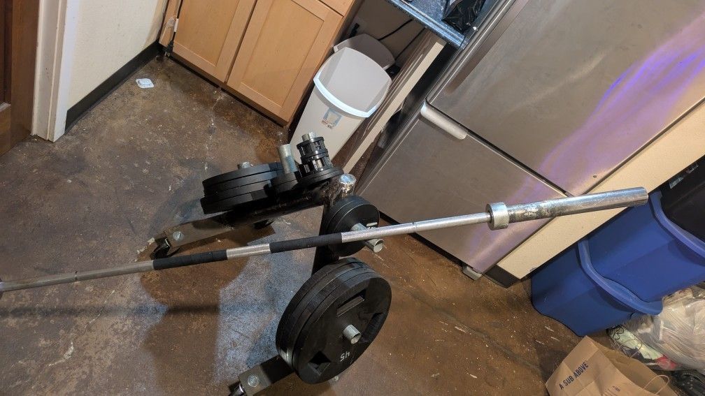 Bespoke Olympic Weight Set - 340 Lbs