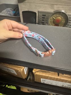 Dog collars