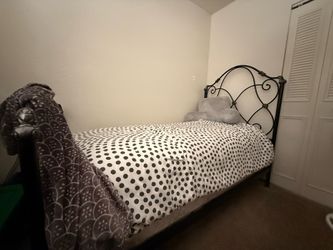 Twin bed, mattress + box spring AND  IRON  bed frame