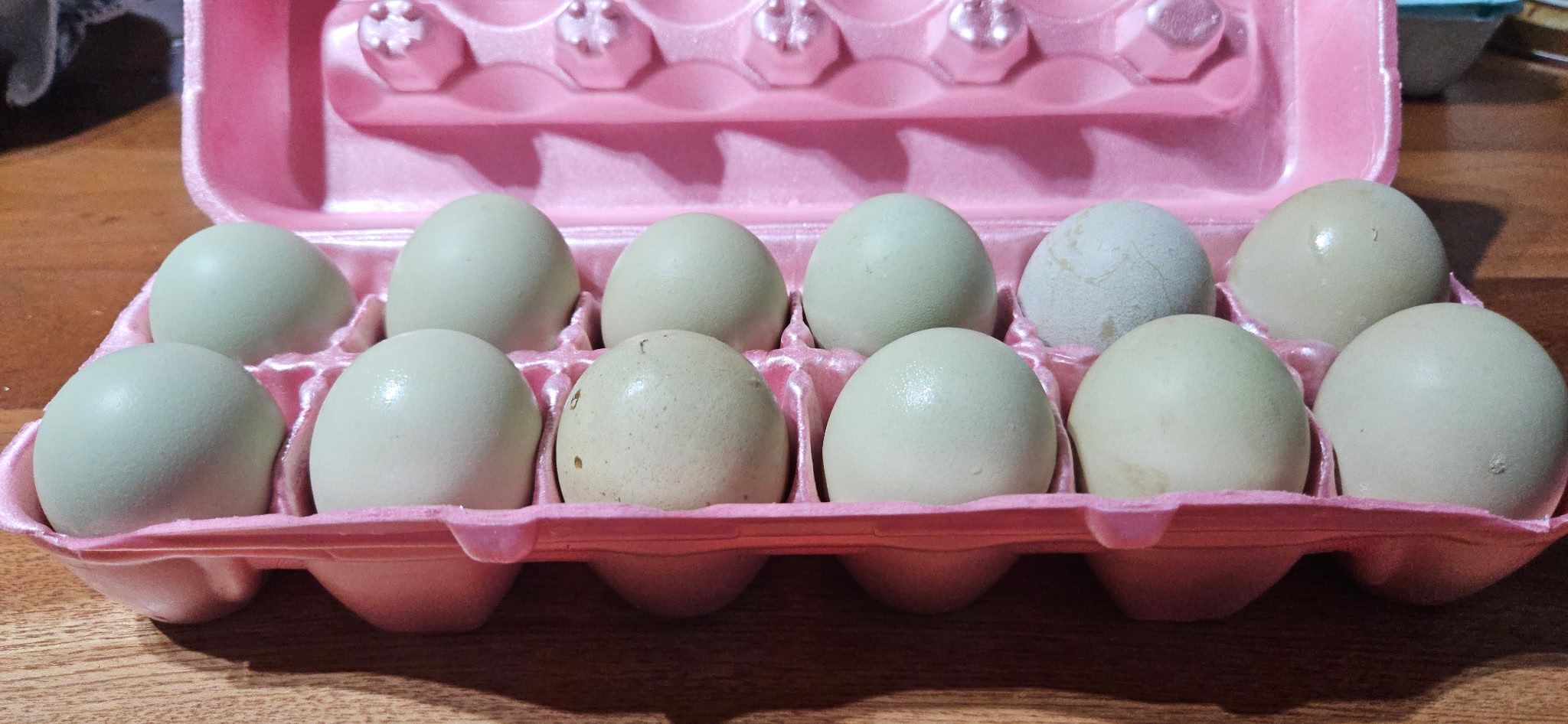 Organic grown chicken eggs
