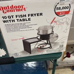 Fish Fryer 