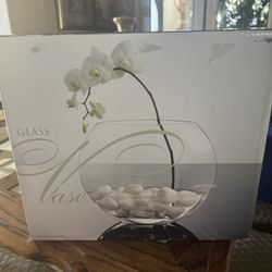 Glass Flower Vase