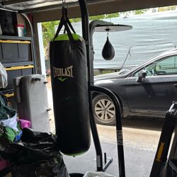 Everlast Punching Bag 