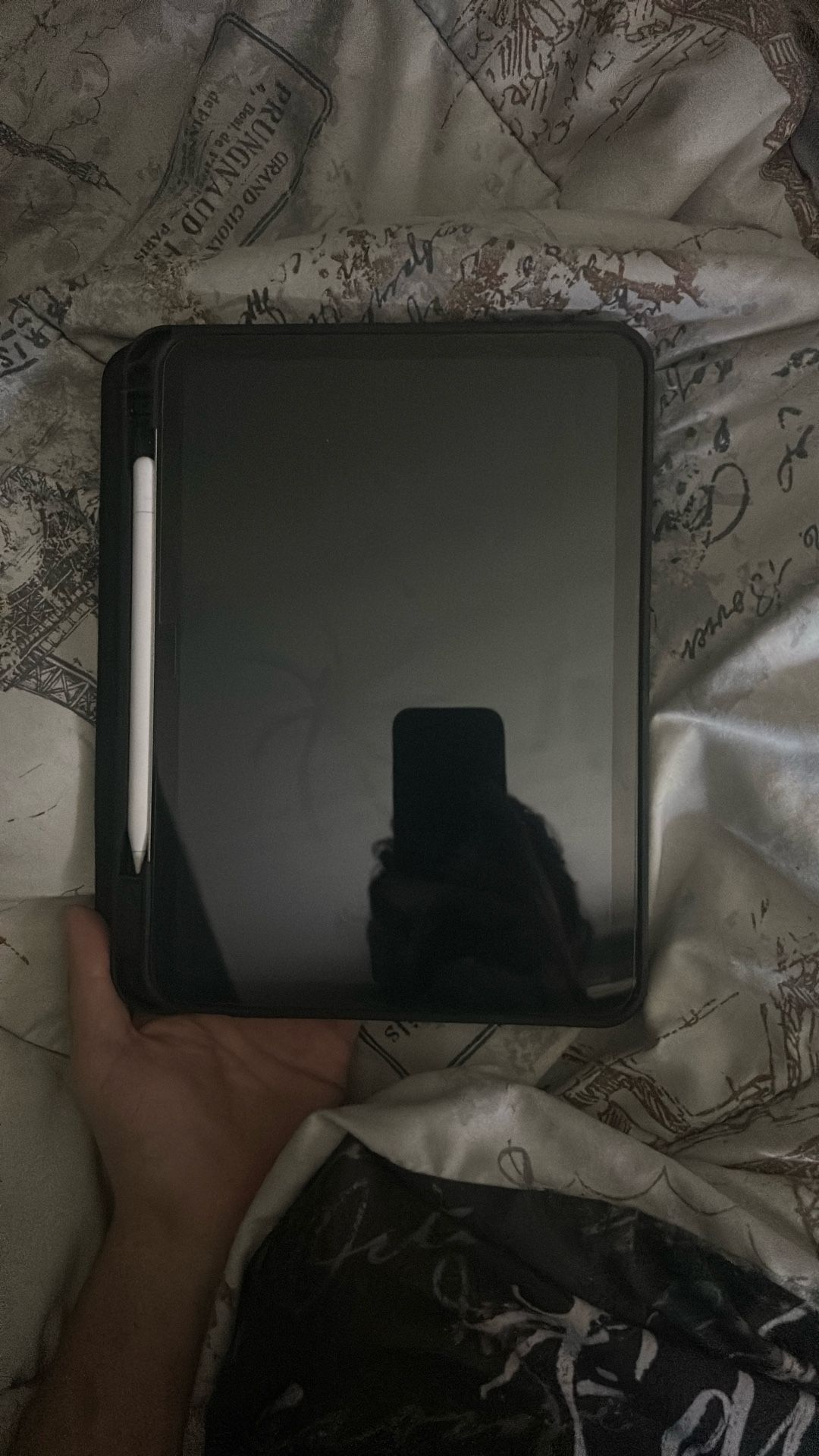 apple ipad air 11 inch