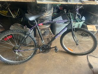 18 speed bicycle