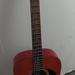 Acoustic Guitar 