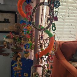 Used As Bird Play Perch On Stand