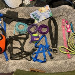 Dog Cat Pet Stuff, Collar, Leash, Etc