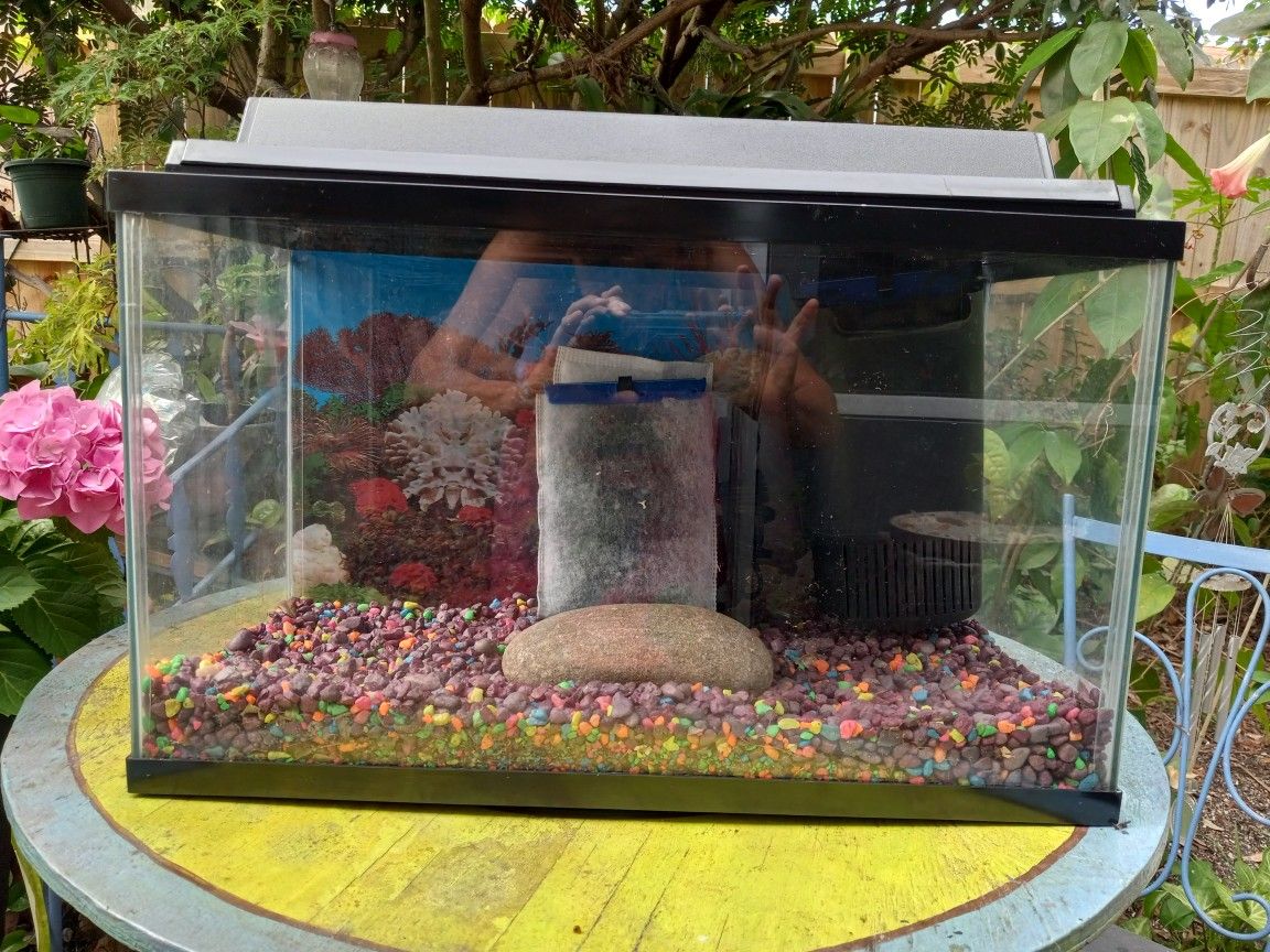 10 Gallon Aquarium