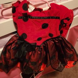 Baby Ladybug Halloween Outfit 6-9 Months