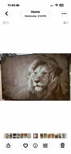 Beautiful framed black & white lion wall art