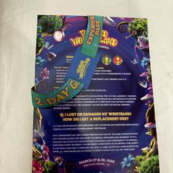2 Day Beyond Wonderland Ticket