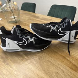 Nike  LeBron James Basketball Shoes Size 14