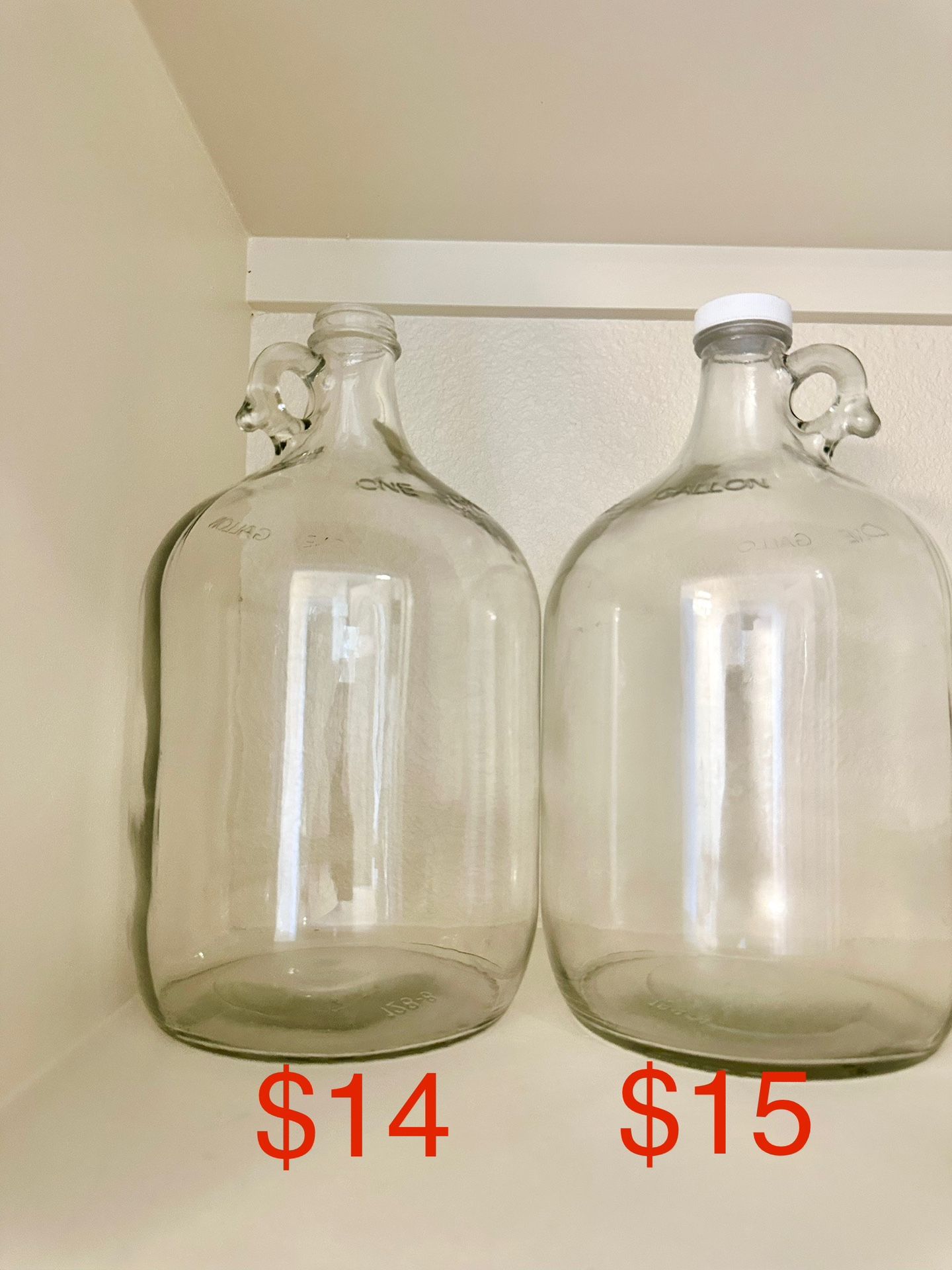 1g Glass Water bottle 