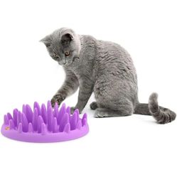 Interactive feeder 