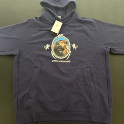 LEBRON JAMES NIKE MEN’S PULLOVER FLEECE HOODIE 'PURPLE INK/PHANTOM 🔥NWT XL-TALL