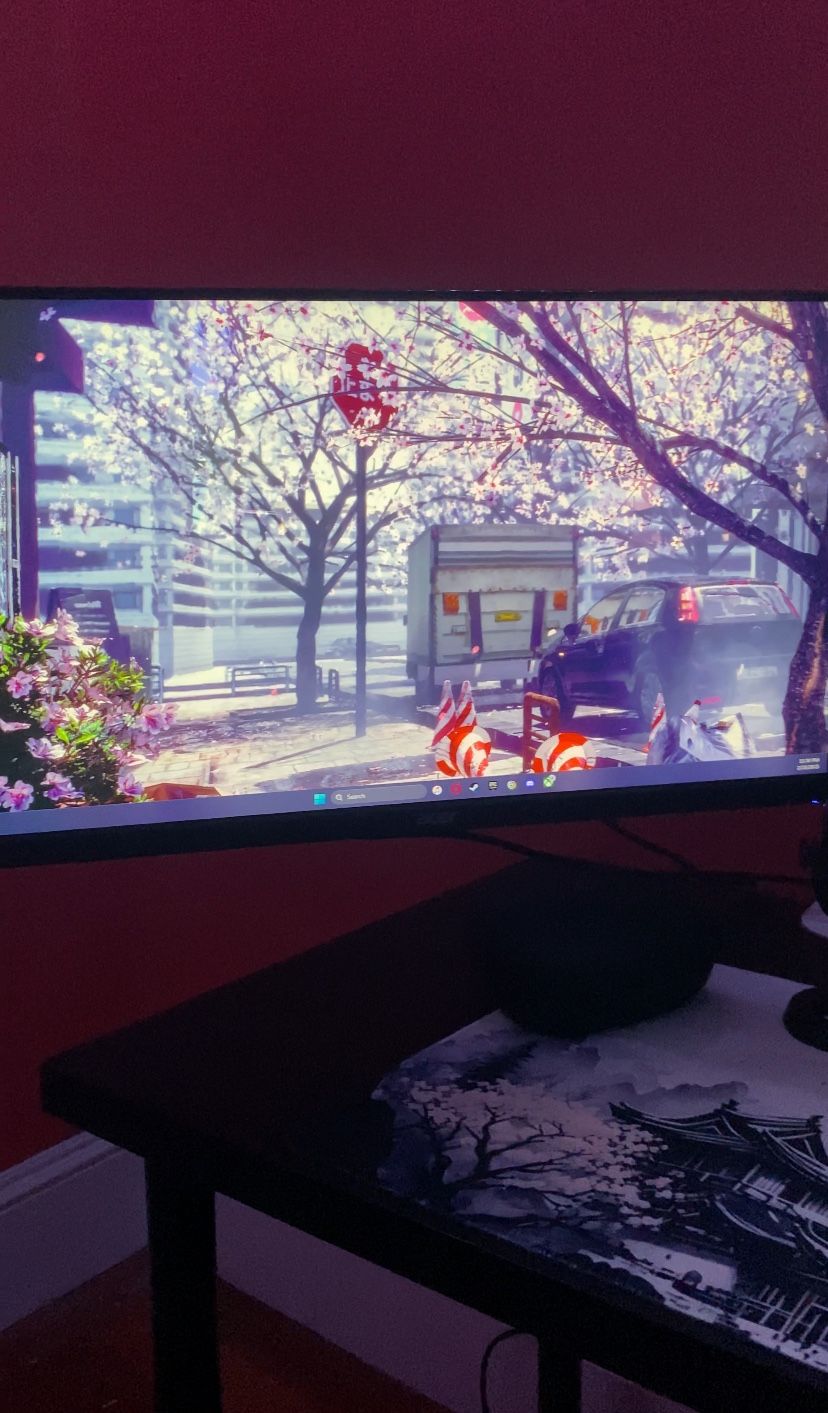 Acer 165hz monitor 