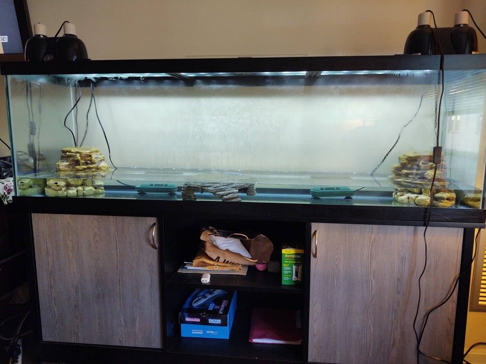 125 Gallon Tank