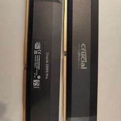 Crucial Pro DDR5 RAM 1 (16 GB Stick) Super Low Price Only $80  