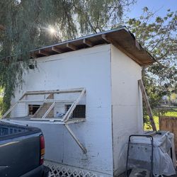 Racing pigeon coop loft