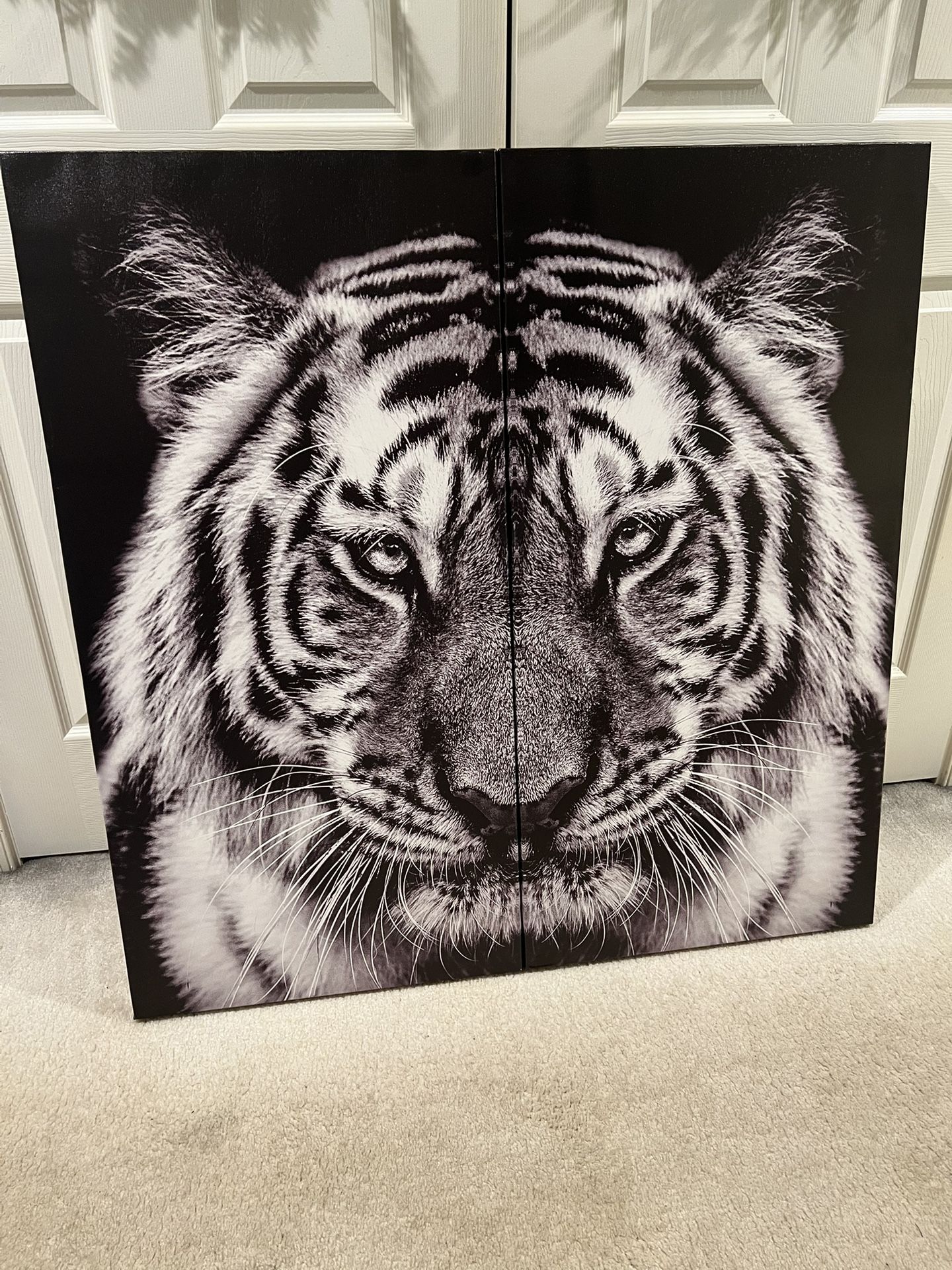 Black & White Tiger Picture