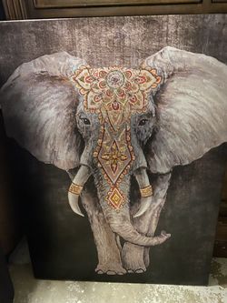 Elephant Portrait