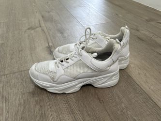 Steve Madden Sneakers